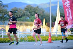 BIB: 
                            <button type="button" onclick="openModal(27829192)" class="btn btn-primary btn-sm float-right btn-popup" data-toggle="modal" data-target=".modal-high-quality">
                        <i class="fas fa-shopping-cart"></i> Add to Cart
                    </button>
                                            <button type="button" onclick="isThisMe(27829192, true)" class="btn btn-success btn-sm float-right btn-popup btn-isme hidden" data-toggle="tooltip" data-placement="bottom" title="นี่คือรูปของคุณใช่ไหม คลิกที่นี่เพื่อเอาเข้าอัลบั้ม">
                        <i class="fas fa-plus"></i> Add to album
                    </button>
                    <button type="button" onclick="isThisMe(27829192, false)" class="btn btn-warning btn-sm float-right btn-popup btn-isnotme hidden">
                        <i class="fas fa-ban"></i> Remove from album
                    </button>